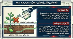 تله های زمانی بخش دوم